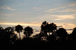 Florida Sunset