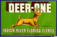 Deer One Label